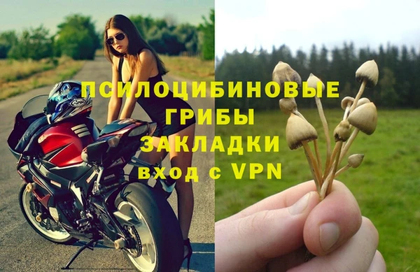 соль ск Алзамай
