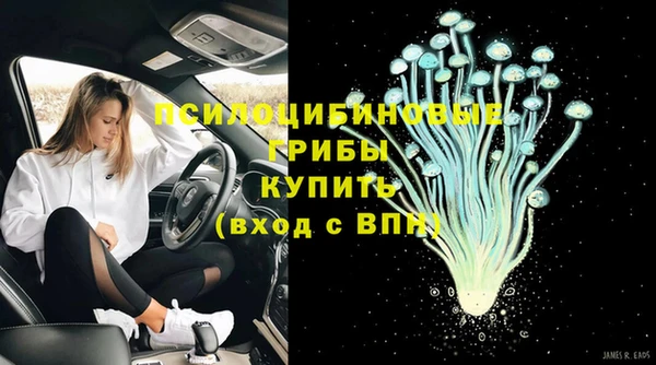 крисы Алексин