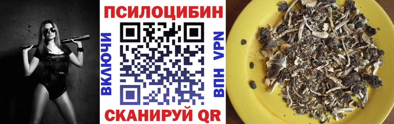 Псилоцибиновые грибы Magic Shrooms  Ступино 