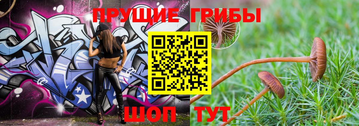 Псилоцибиновые грибы Cubensis Ступино